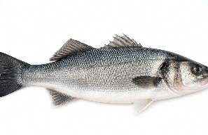 Seabass Butterflied Perfect for Braaing
